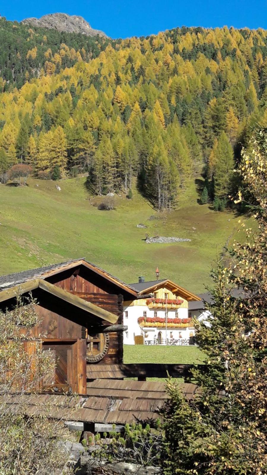 Mooserhof Κάμπο Τούρες Εξωτερικό φωτογραφία