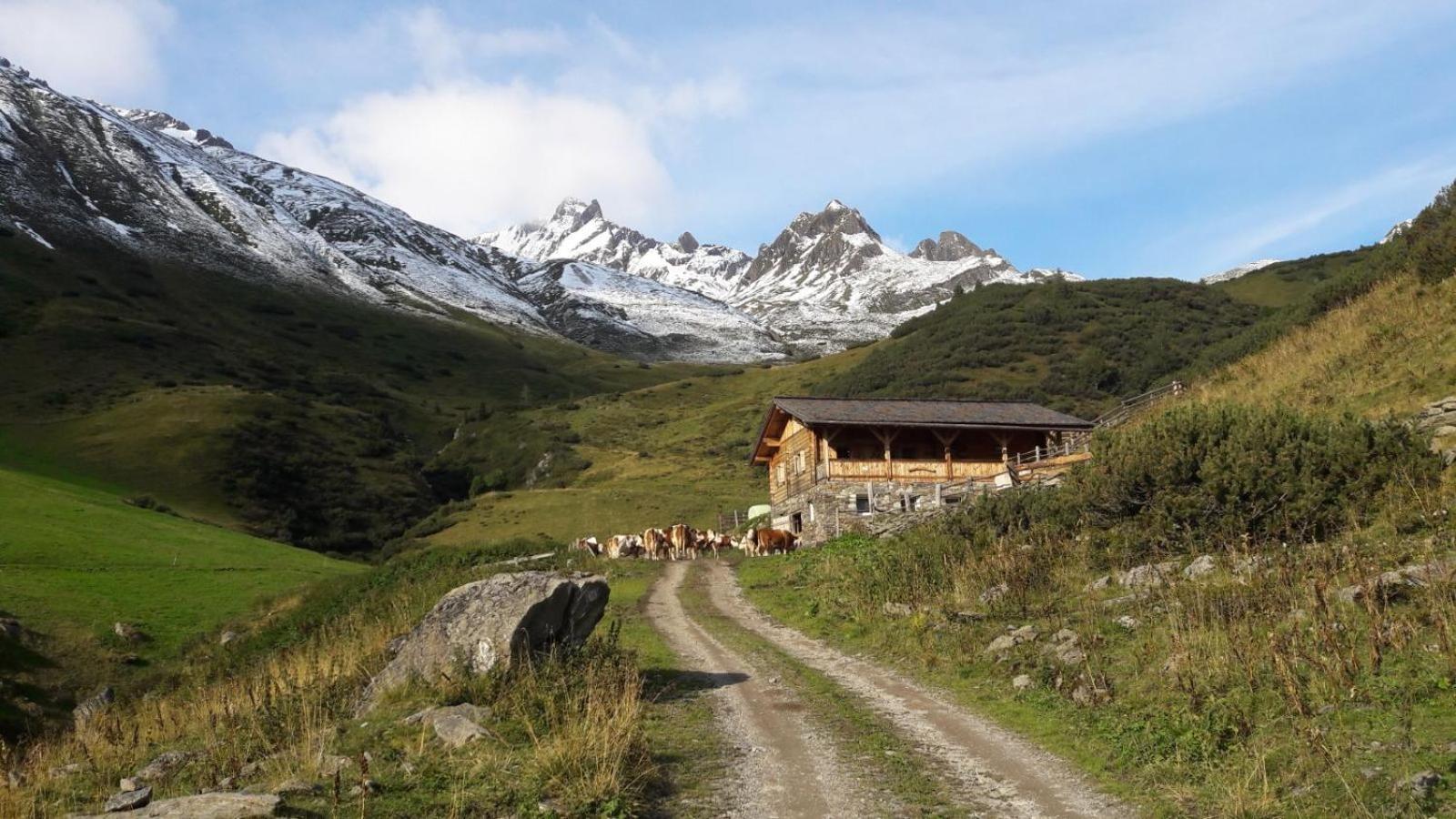 Mooserhof Κάμπο Τούρες Εξωτερικό φωτογραφία
